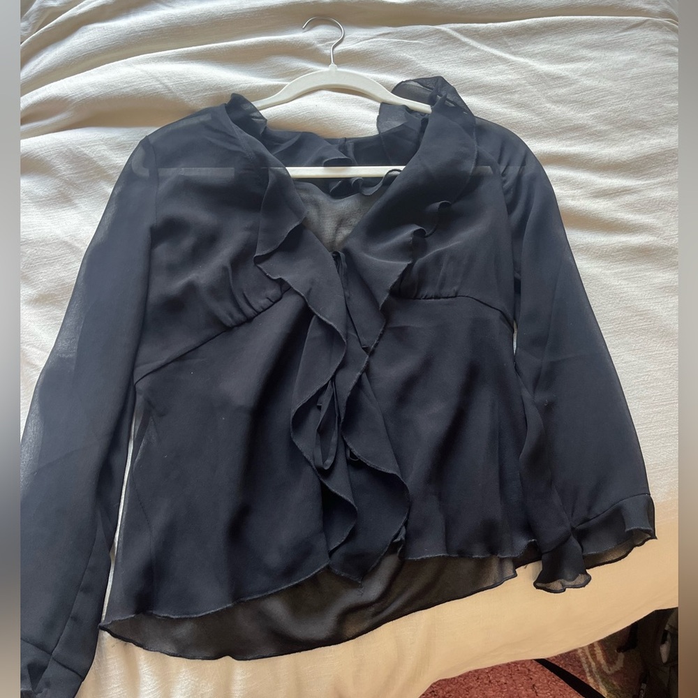 Aritzia sheer top - Wilfred